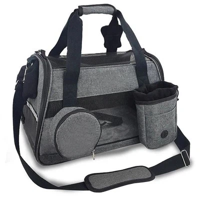 Lemmikkien kantolaukku kissoille